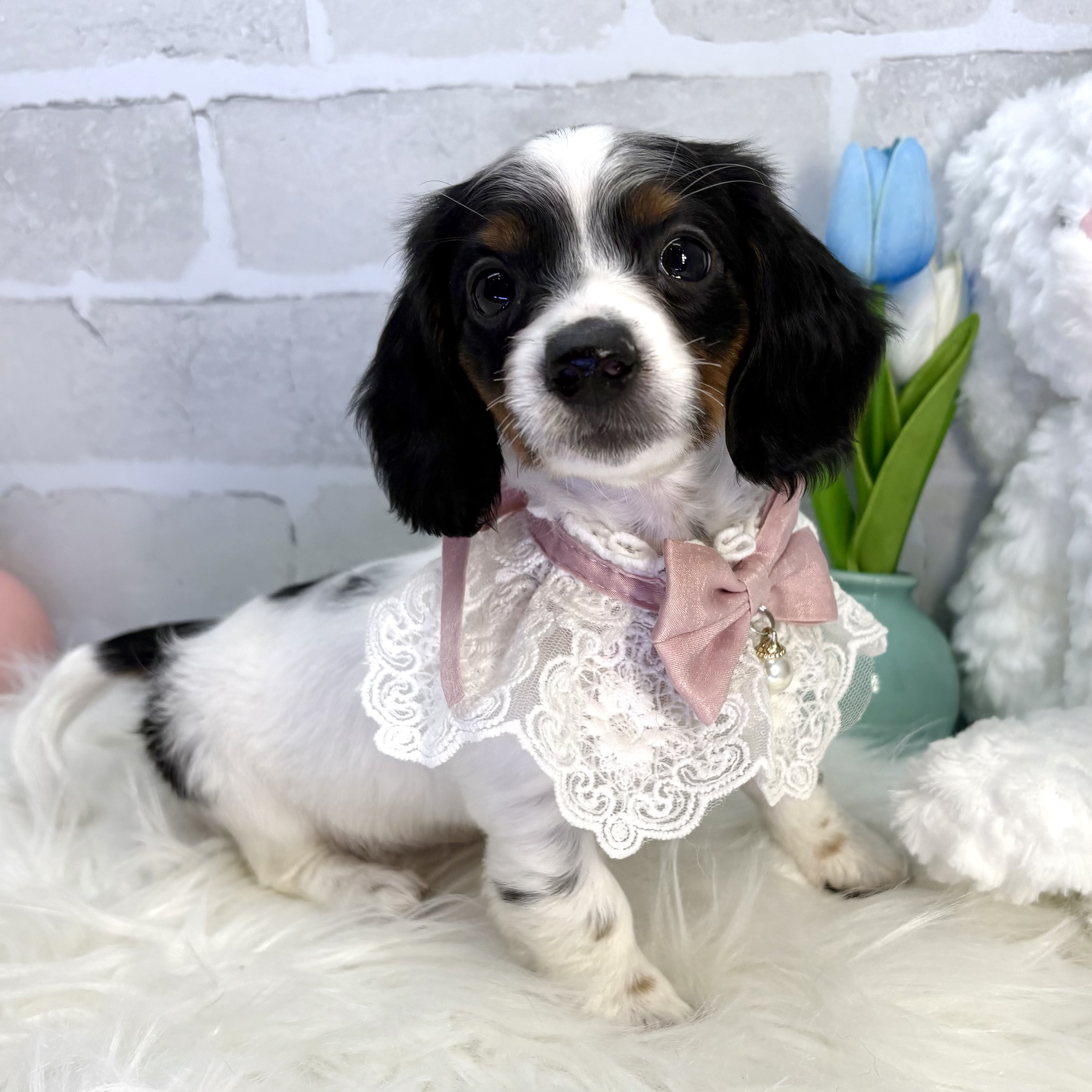 はるる モールアート ブラックタンパイボールド* はるる モールアート