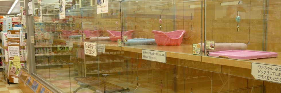 ペッツワン城山店の店舗写真