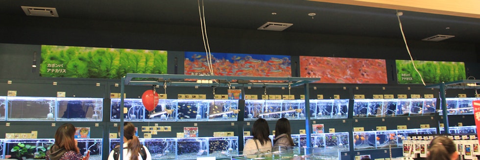 ペッツワン藤枝店の店舗写真