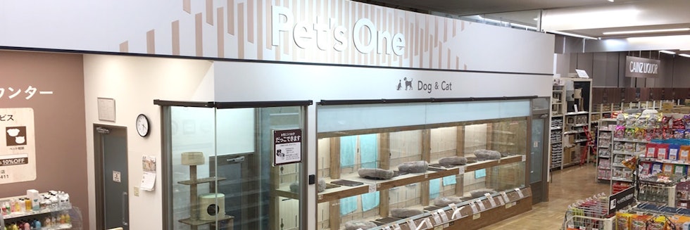 ペッツワン今市店の店舗写真